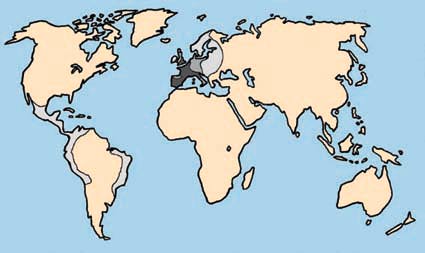 Världskarta: Världsmarknadssystemet 1550