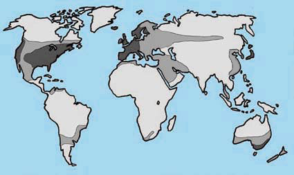 Världskarta: Världsmarknadssystemet 2000